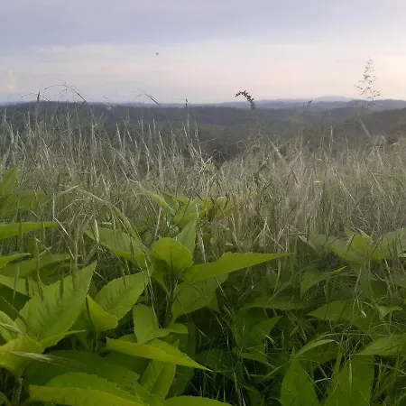 Διαμέρισμα Ferme Beauregard Les Pyrenees